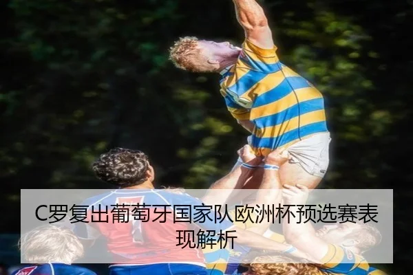 C罗复出葡萄牙国家队欧洲杯预选赛表现解析 | feisu